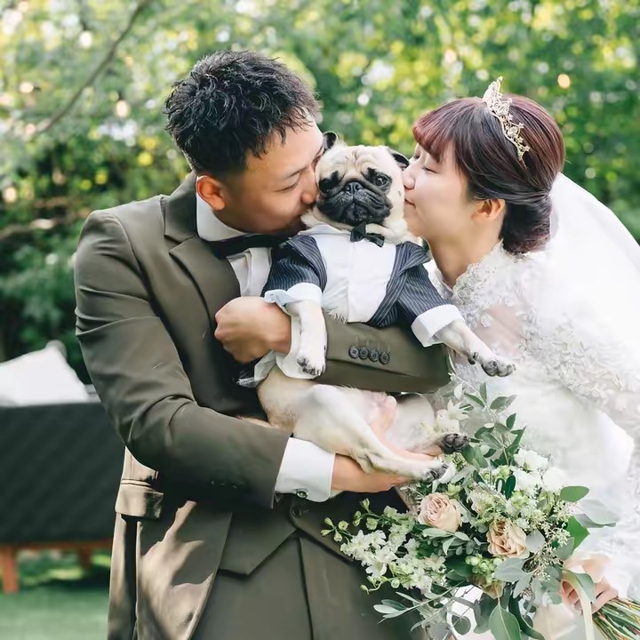 パグの喜一と高橋家🐶🐾