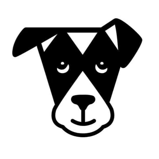 The Dogist