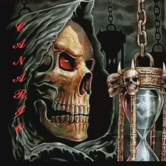 💜CANARIODELAVIUDANEGRA....💜