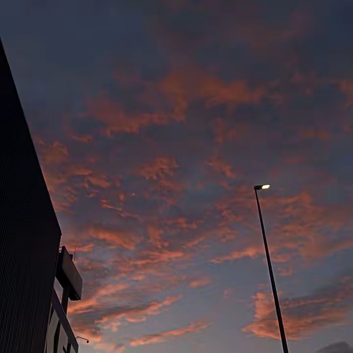 eldolornooespasajeroo