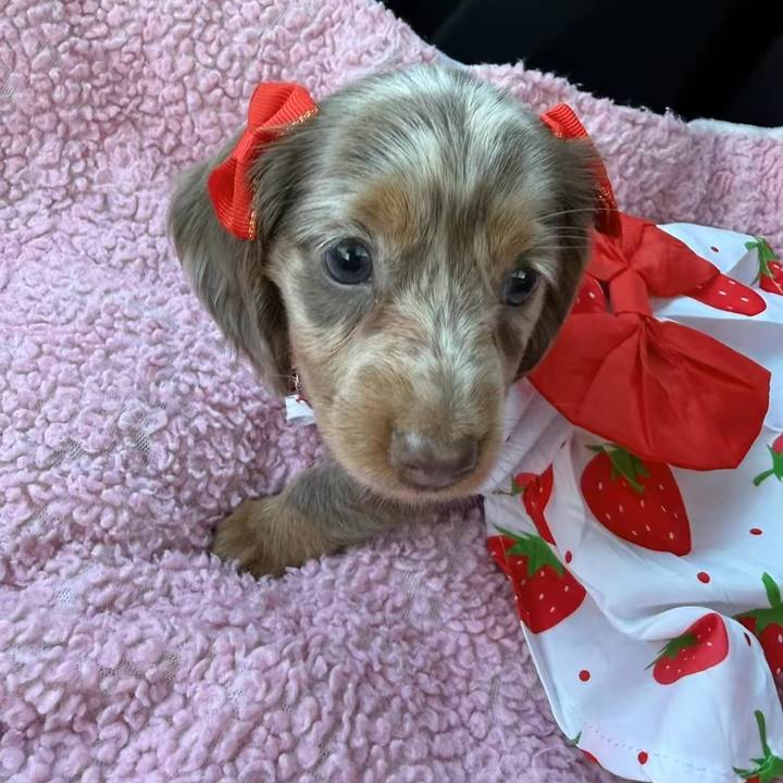 lifewithoakleighpearl