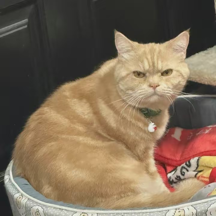 Beau ชื่อบิวไม่ใช่โบว์🇻🇳🇹🇭