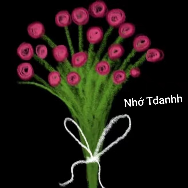 T chua hieu lido c lại gian t