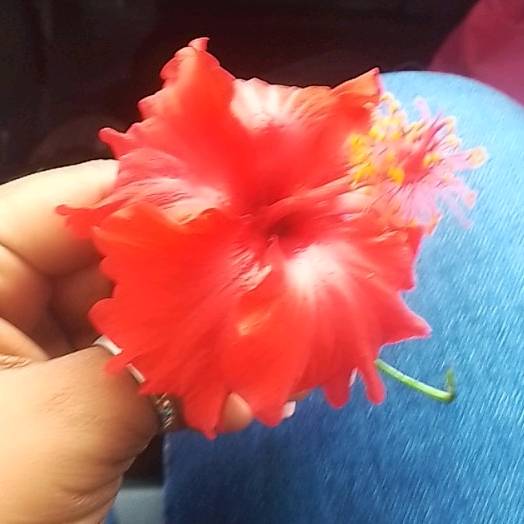 Empress starseed 👁️🌍🧿