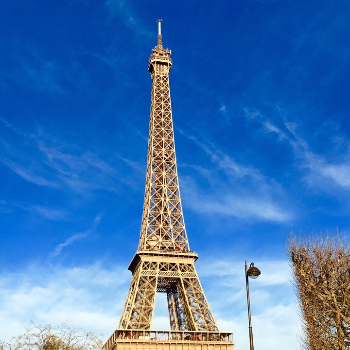 ✨Cℓαυ∂ια. 迪娅🍀✨