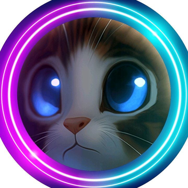 💫💥🇵🇸Kucing@Miaw🇵🇸💥💫