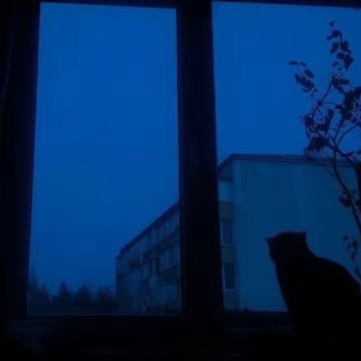 🇸🇦ྀིྀི