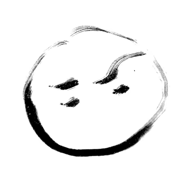 Everyday with Captain