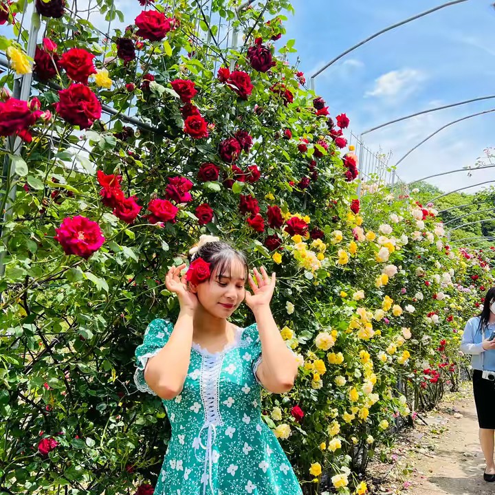 Thin Thin Su🌻🌼🌼