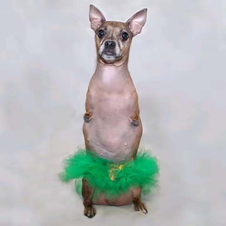 Nessie McNubbins
