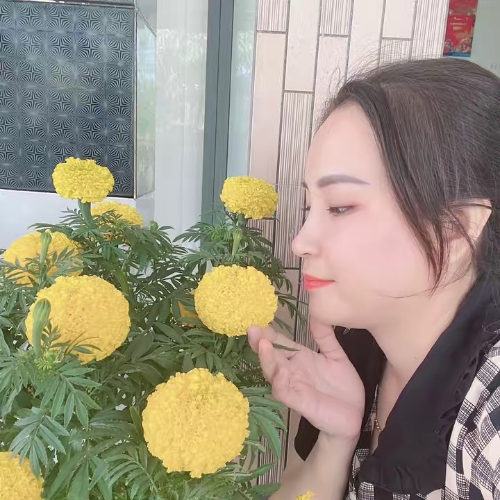 Trân Đồ Gia Dụng