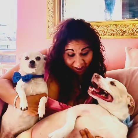 Tails of an IVDD Dog Mom