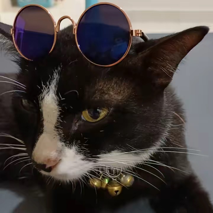 SIRI 💝🌸💰639