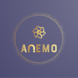 ANEMO SHOP