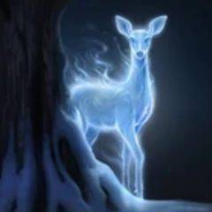 Elisabeth Cardot Jau