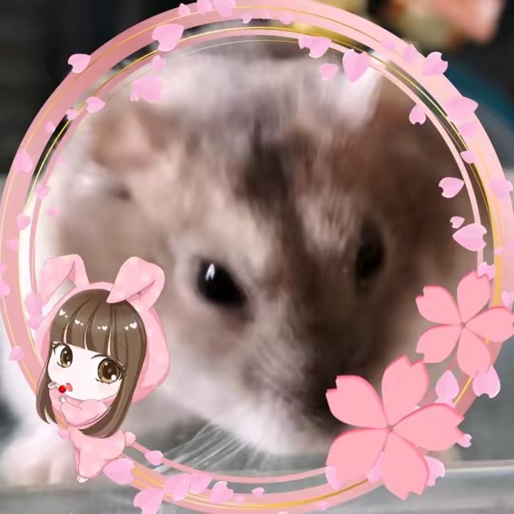 廻(乱)🌸🍒さち単推し🍒🌸