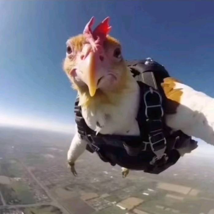 🏁gabriel briseño esparza