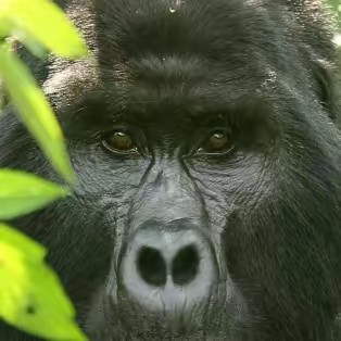 🎣フジちゃん🐟