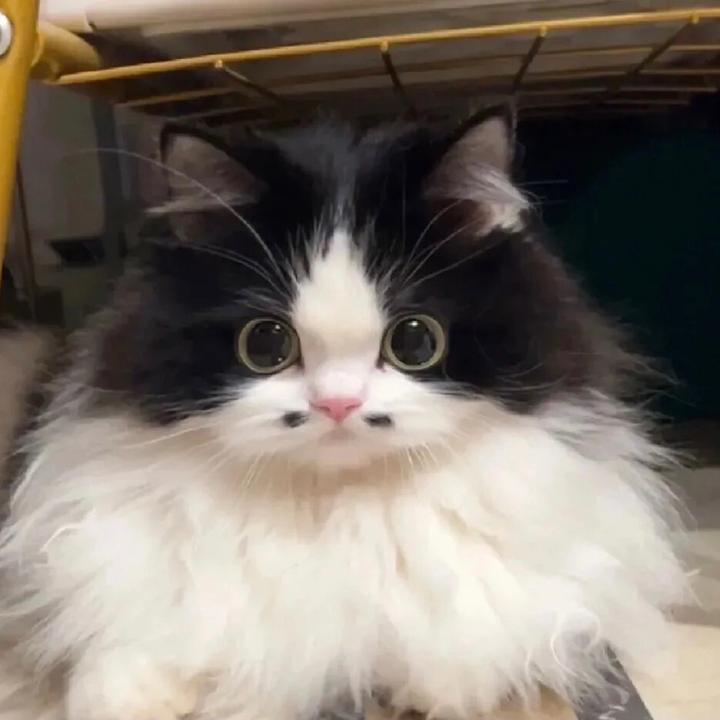 Good quality shoes to share