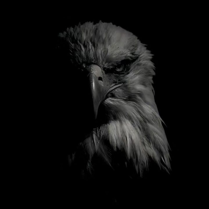 𝓪𝓛𝓪𝓶~𝓽𝓪𝓫𝓪𝓱💸