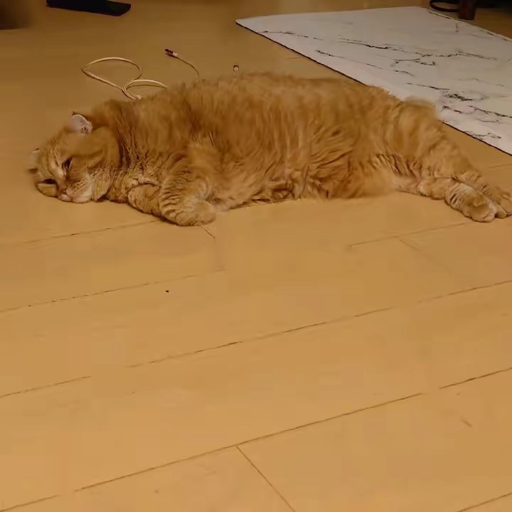 チータラドット・コム