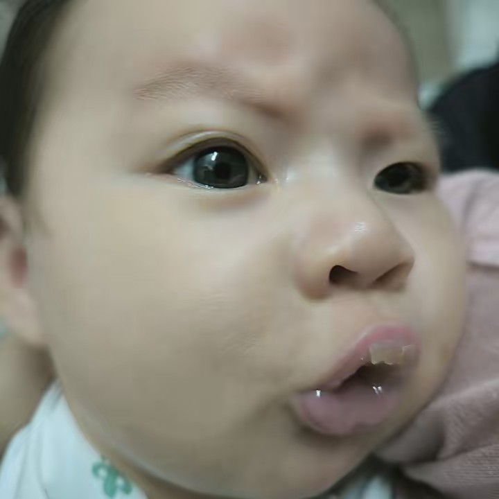 Bánh Mì 🥖🇻🇳🇭🇲