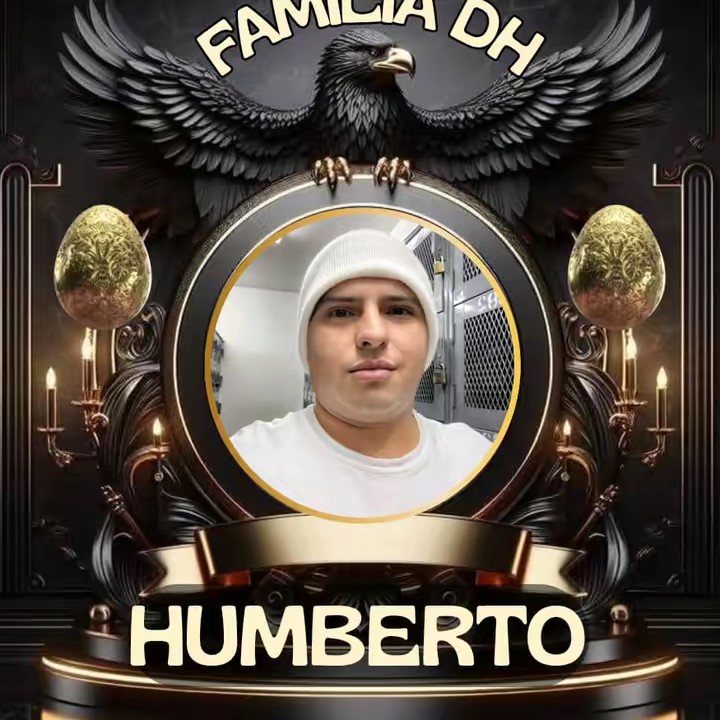 🐦‍🔥🌙[ʜᴜᴍʙᴇʀᴛ]🥚✅⚡★彡