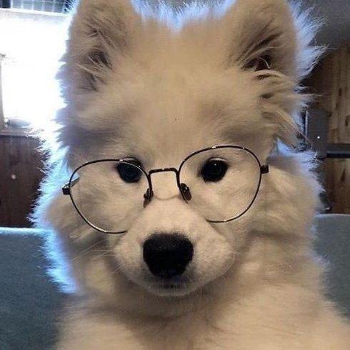 ˖⁺‧₊˚♡˚₊‧⁺˖Mercy <3˖⁺‧₊˚♡˚₊‧⁺˖