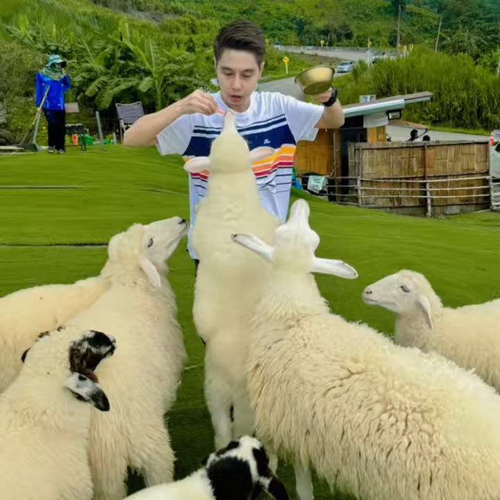 💓 T’amara_aum 💓