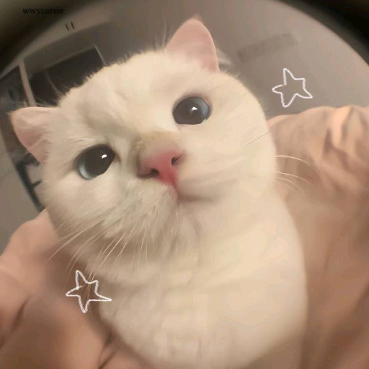 พิกัดของในนี้นะครับโผม