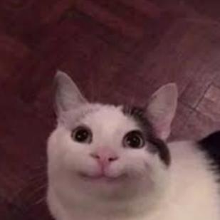 ✨|| .gacha._.kid. ||✨