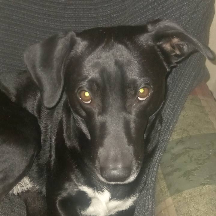 Miguel puerto Francisco