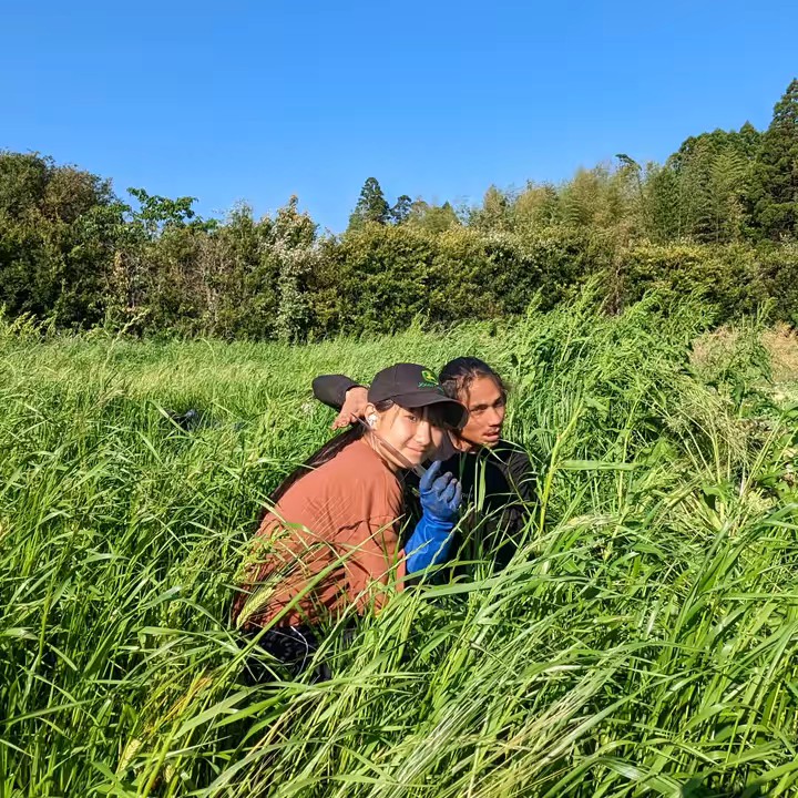 Mas Tani 🇮🇩🇯🇵