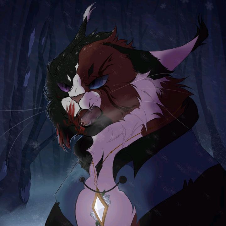 ｡†｡𝐓𝐡𝐮𝐧𝐝𝐞𝐫𝐬𝐭𝐨𝐫𝐦 ｡†