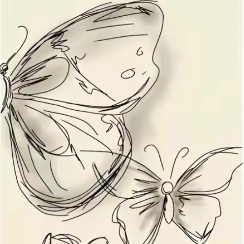 ☪️🎀✿❀shahed❀✿🎀☪️