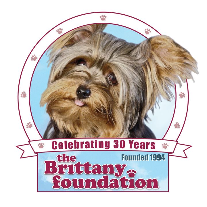 The Brittany Foundation