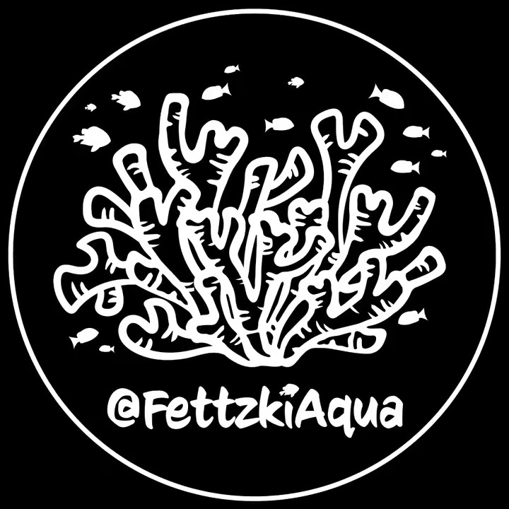 FettzkiAqua