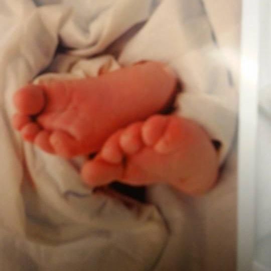 Rocio Perez-Palomares