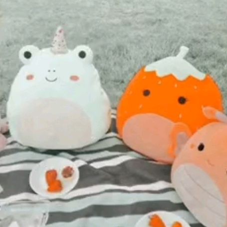💫Squishmallows💫