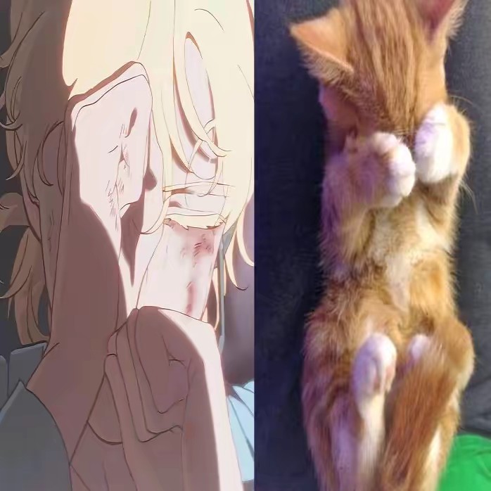 𝙈𝙚𝙡𝙤𝙘𝙤𝙩ó𝙣