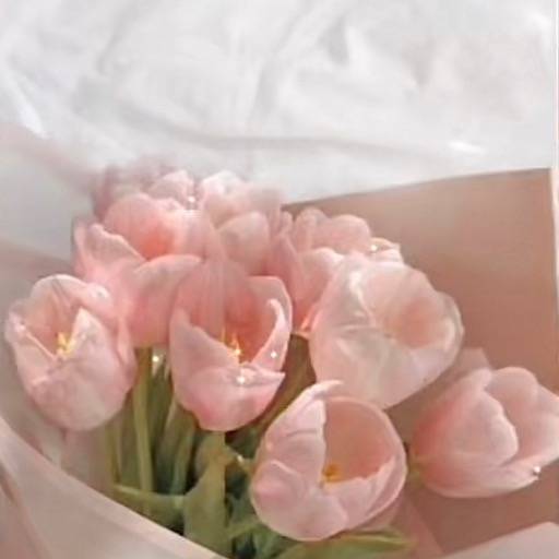 ꒰ tyler!!🌷  ꒱