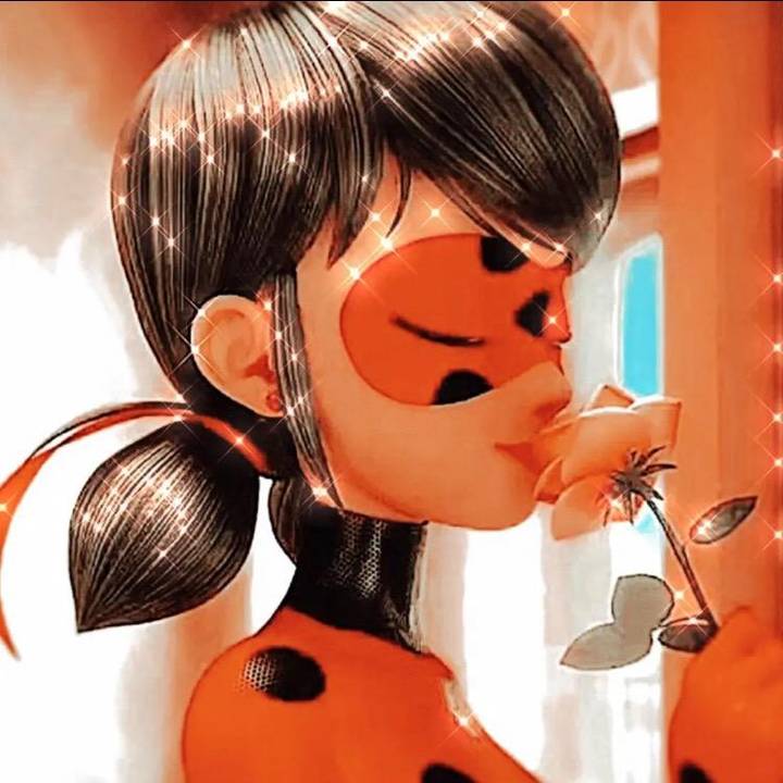 ⚠️Dms don’t work⚠️ 1615 sunkin