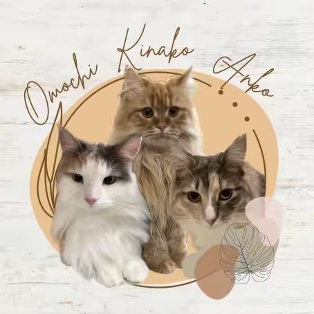 モフモフ猫のきなこもち