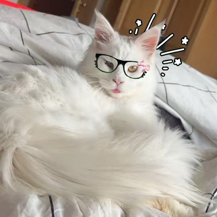 isabella.withnofellas