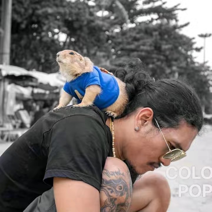 น้าเอก Nawin 🦫