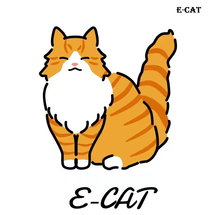 E-CAT-Official-Store.MY
