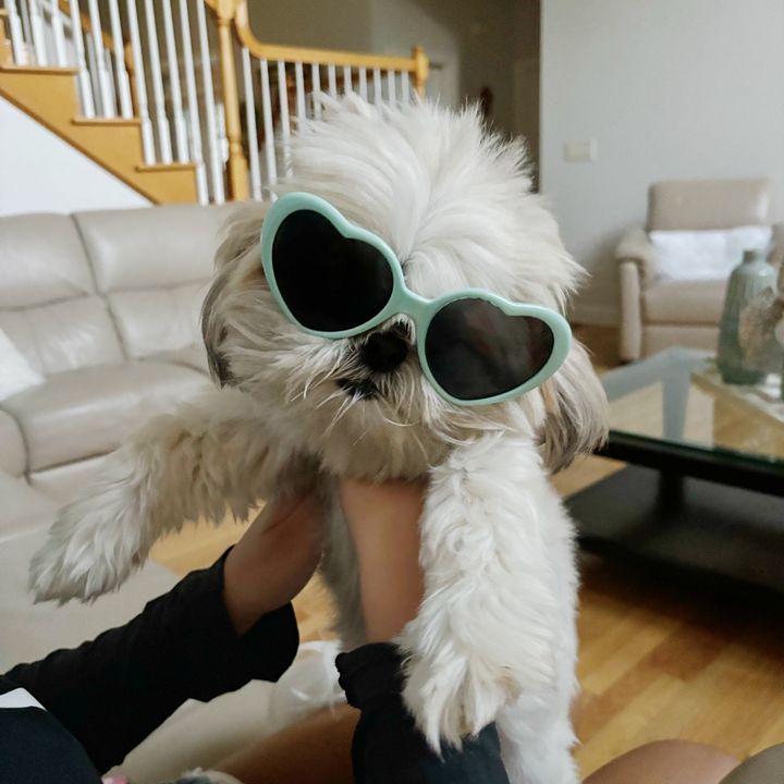 jakeily🐚🥥✝️🌴🌊