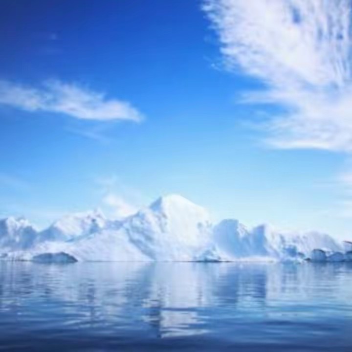 人生タンフル🧊🥶