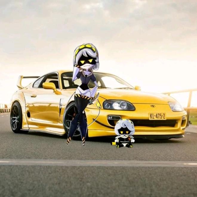 ☆彡彡 𝐃𝐎𝐋𝐋 ミミ☆