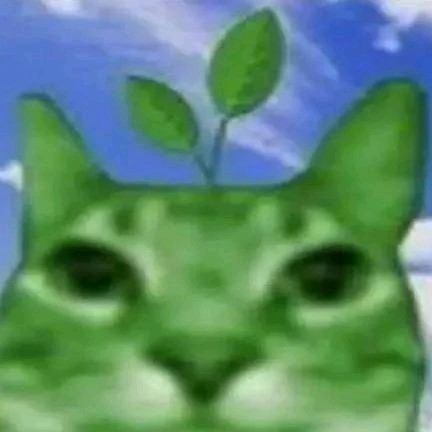 Alienjaeunlover99208🦄🎻